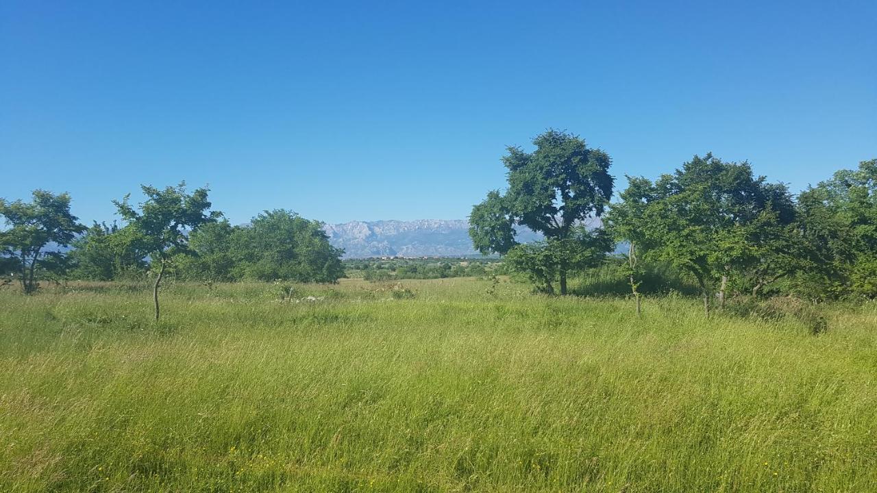 Savrsen Odmor U Villa Ivona Ζαντάρ Εξωτερικό φωτογραφία